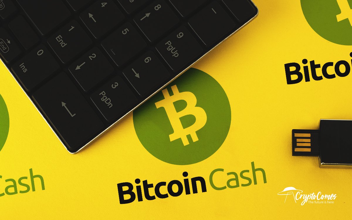 bitcoin cash wallet investor